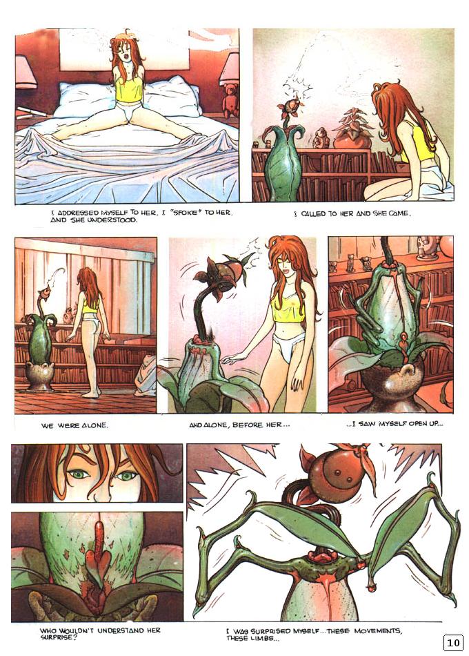 The Romantic Flower page 12 full