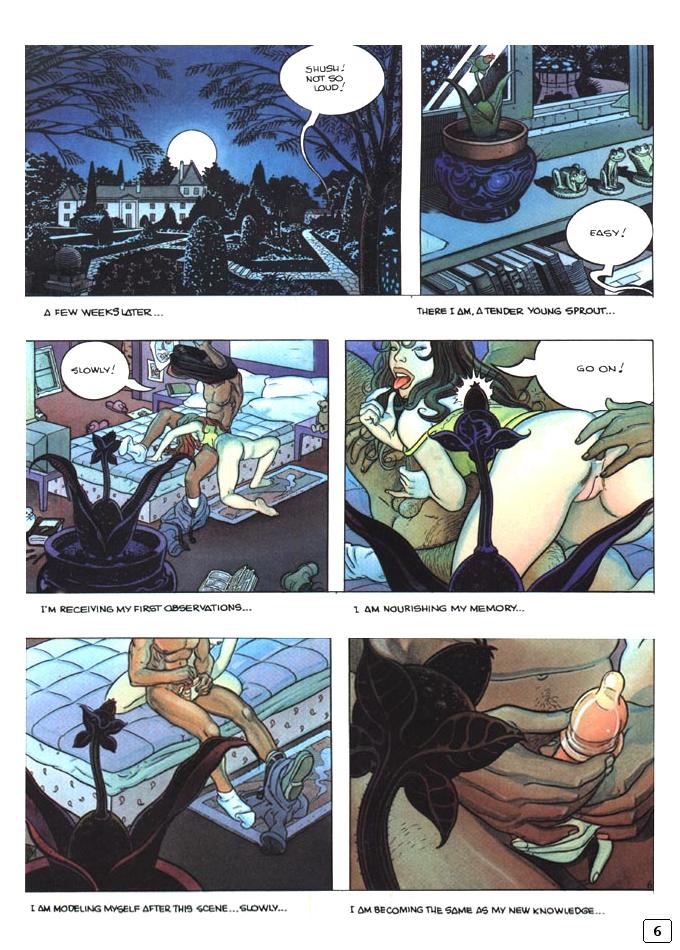 The Romantic Flower page 8 full