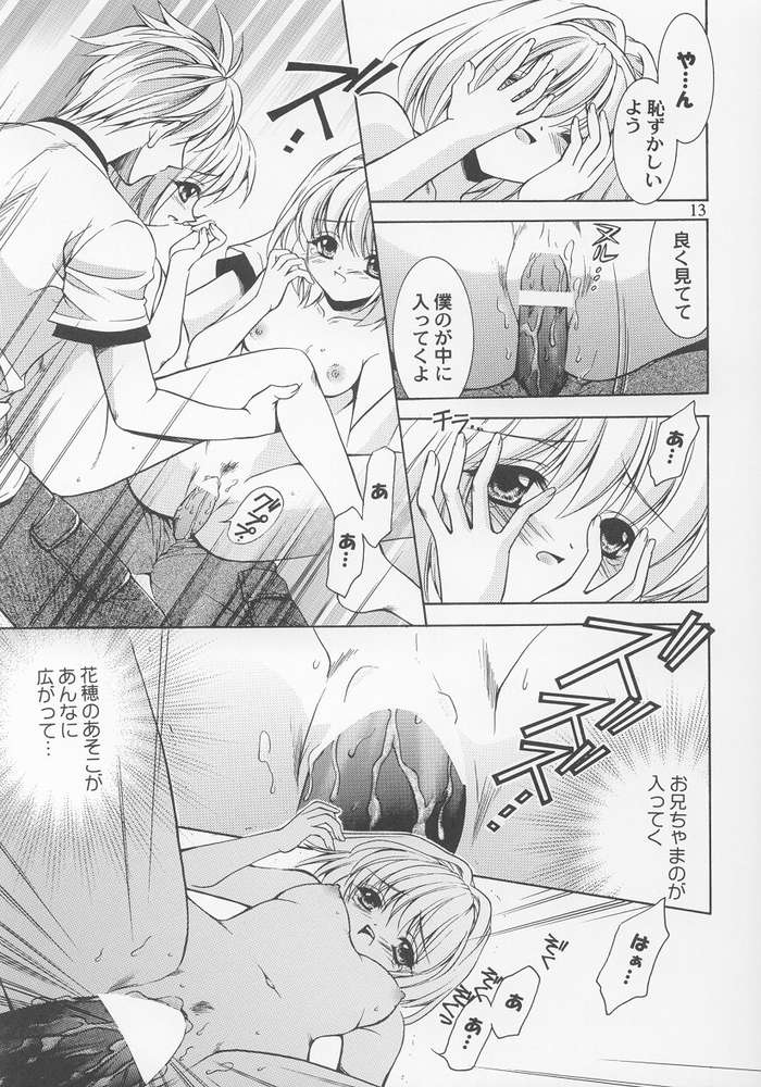 Lemon Squash page 11 full