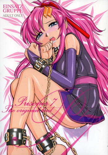 (C69) [EINSATZ GRUPPE (Charlie Nishinaka)] PRISONER 7 The Original Bird (Mobile Suit Gundam SEED Destiny) cover