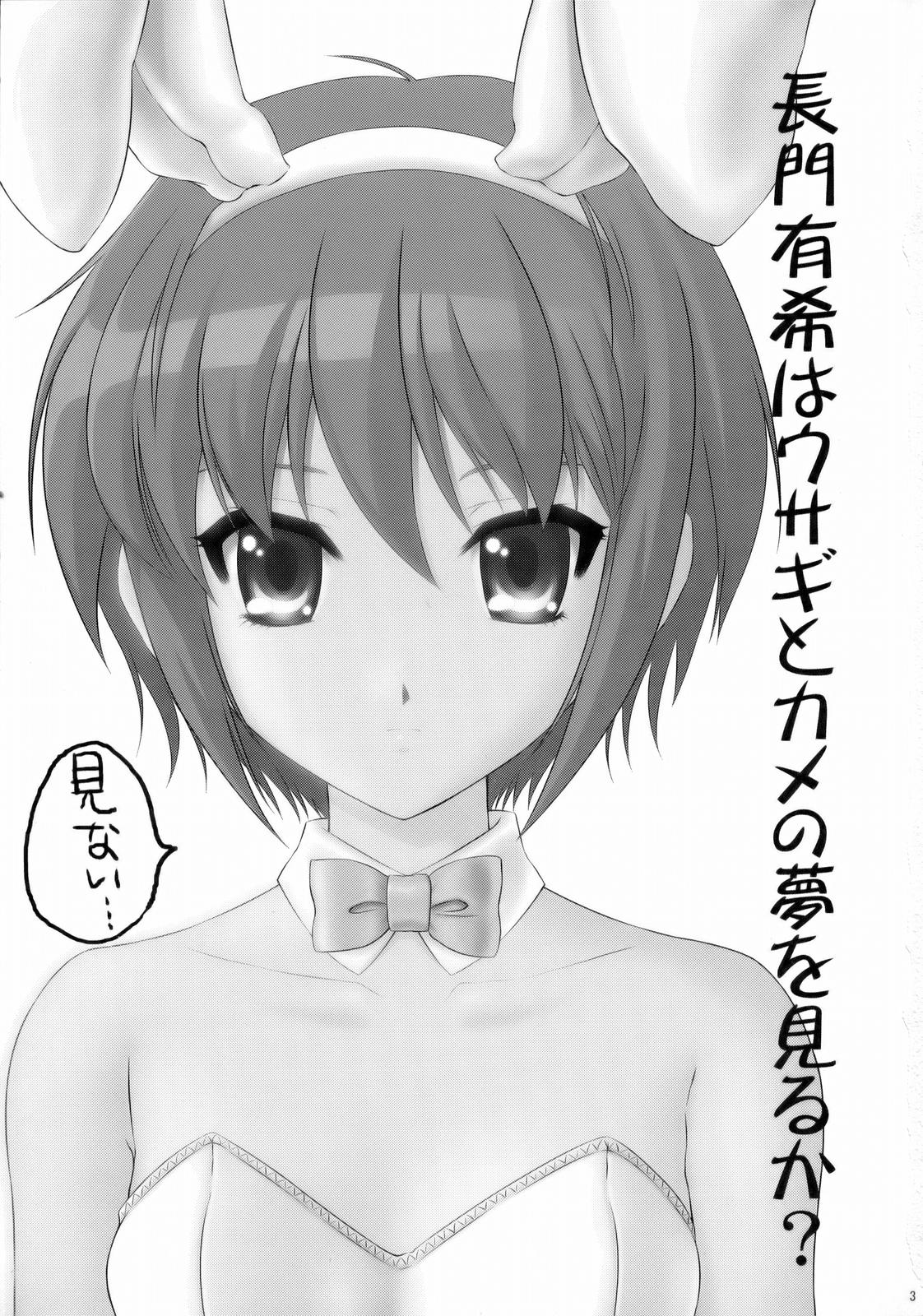 Nagato Yuki wa Usagi to Kame no Yume o Miru ka? page 2 full