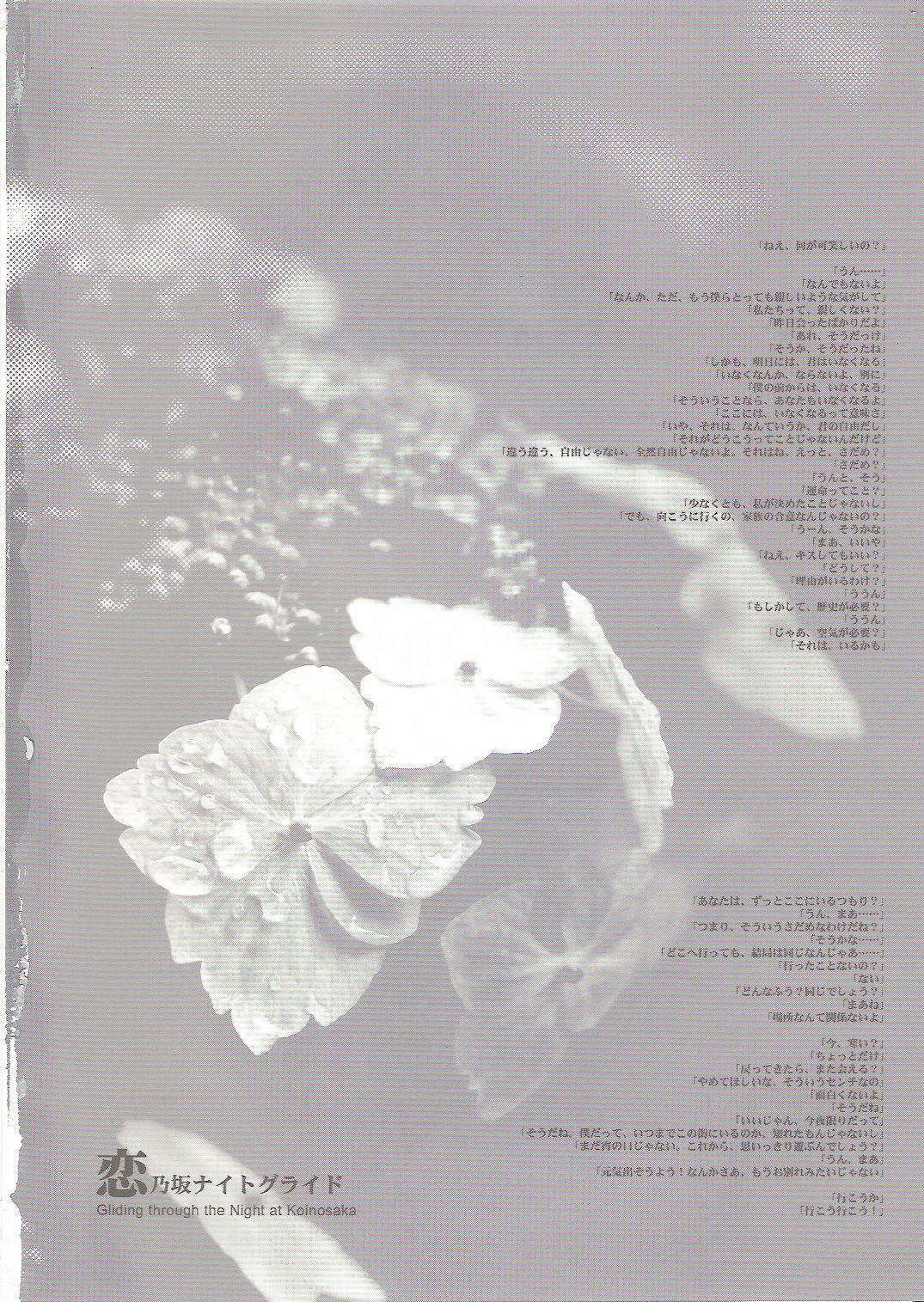 Koinosaka Night Glide - Gliding through the Night at Koinosaka page 2 full