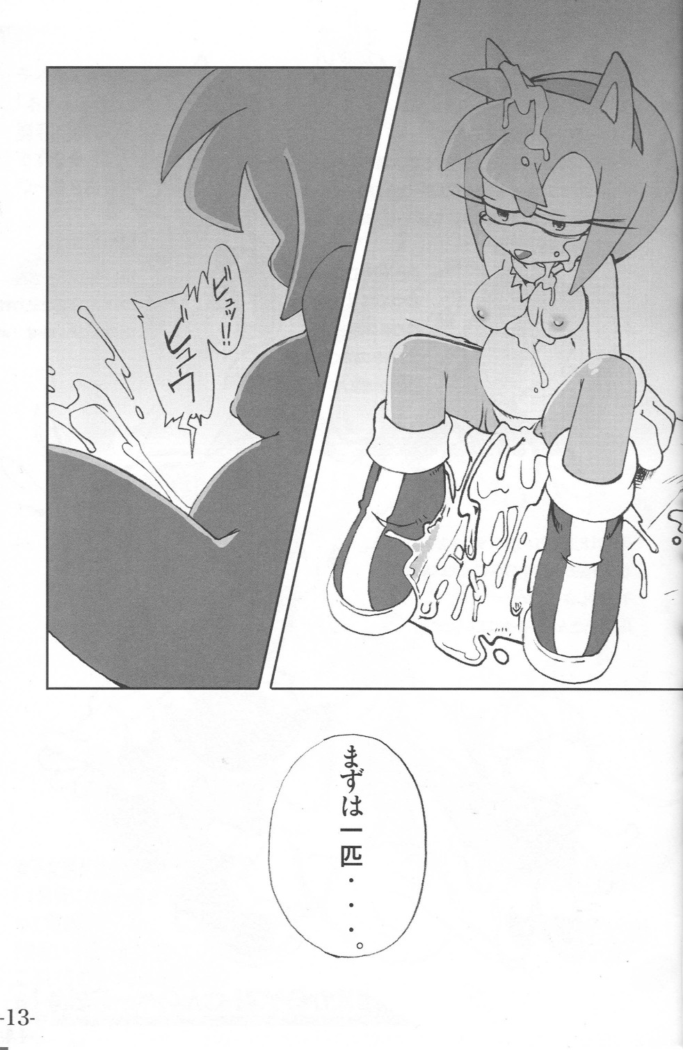 Ore no Fuyu 2003 Sonic Sexual page 12 full
