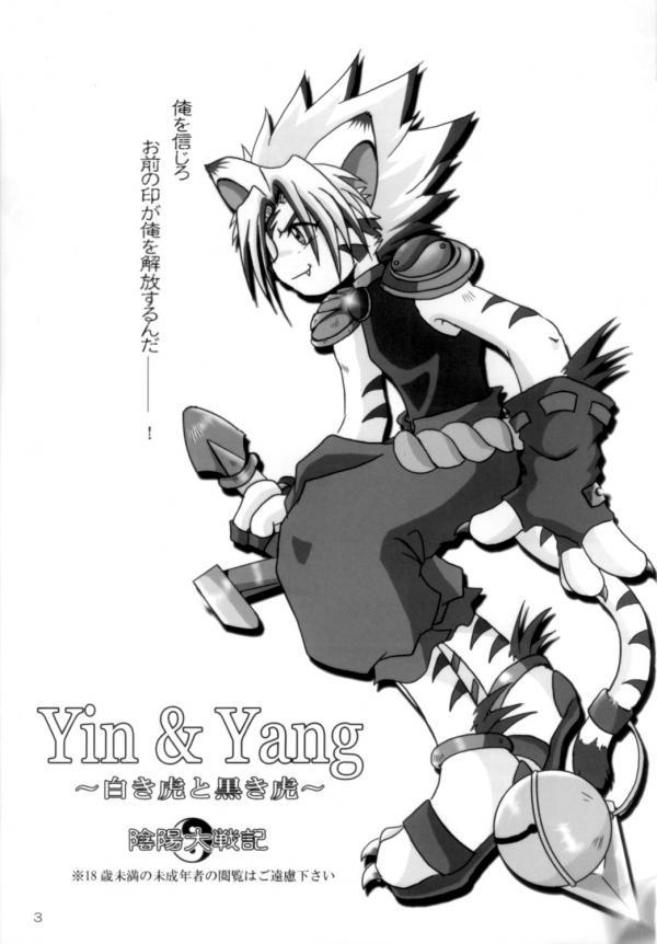 Yin&Yang page 2 full