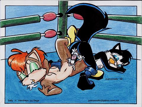 Sonic Two Girls page 11 full