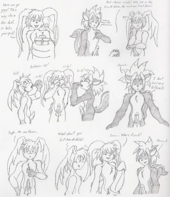 [Netrat13] WWVC cover