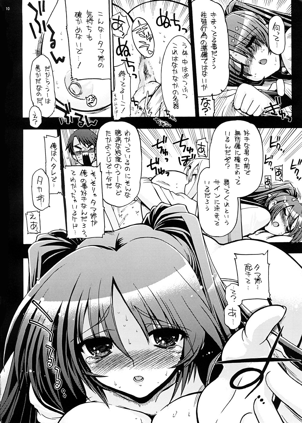 Mou Oppai to Ieba Tama-nee Nandayo! page 9 full