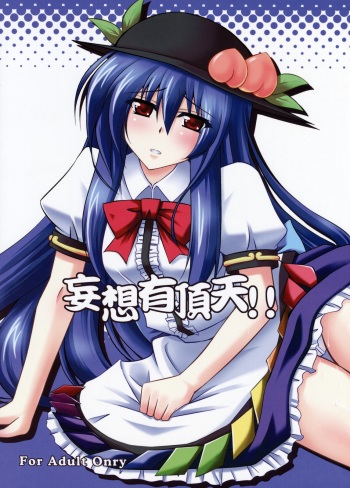 (C74) [Dokomademo Aoi Sora ni Ukabu Niku (Nikusoukyuu)] Mousou Uchouten!! (Touhou Project) cover