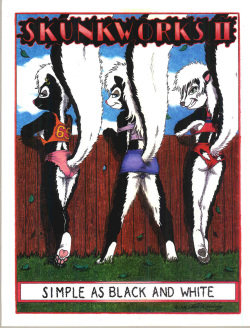 Skunkworks 2 - Simple as Black and White