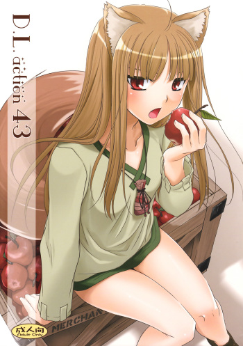 (COMIC1☆2) [Digital Lover (Nakajima Yuka)] D.L. action 43 (Spice and Wolf) cover