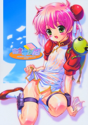(C66) [Studio Rakkyou (Ashisyun, Takase Yuu)] Kanzen Nenshou 12 (Read or Die) cover