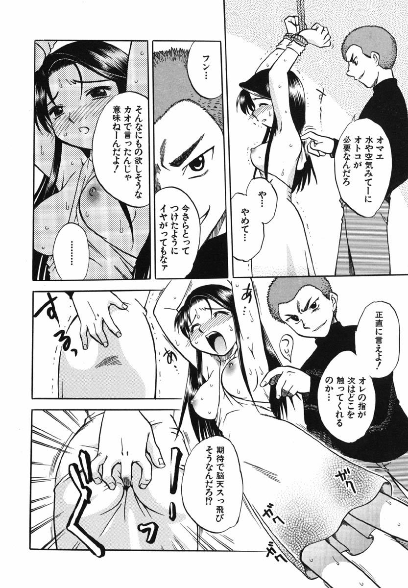 Punikko Invitation page 11 full