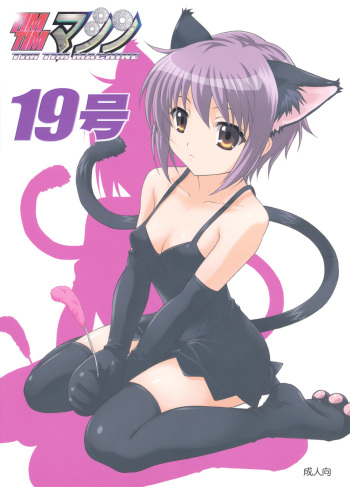 (SC39) [TIMTIM MACHINE (Kazuma G-Version)] TIMTIM MACHINE 19 (The Melancholy of Haruhi Suzumiya) cover
