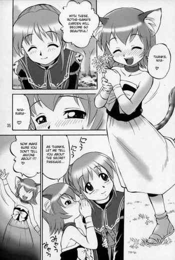 (C68) [Jack-O'-lantern (Ebifly, Neriwasabi)] Neko Panchu (Final Fantasy XI) [English] [desudesu] [Incomplete] cover