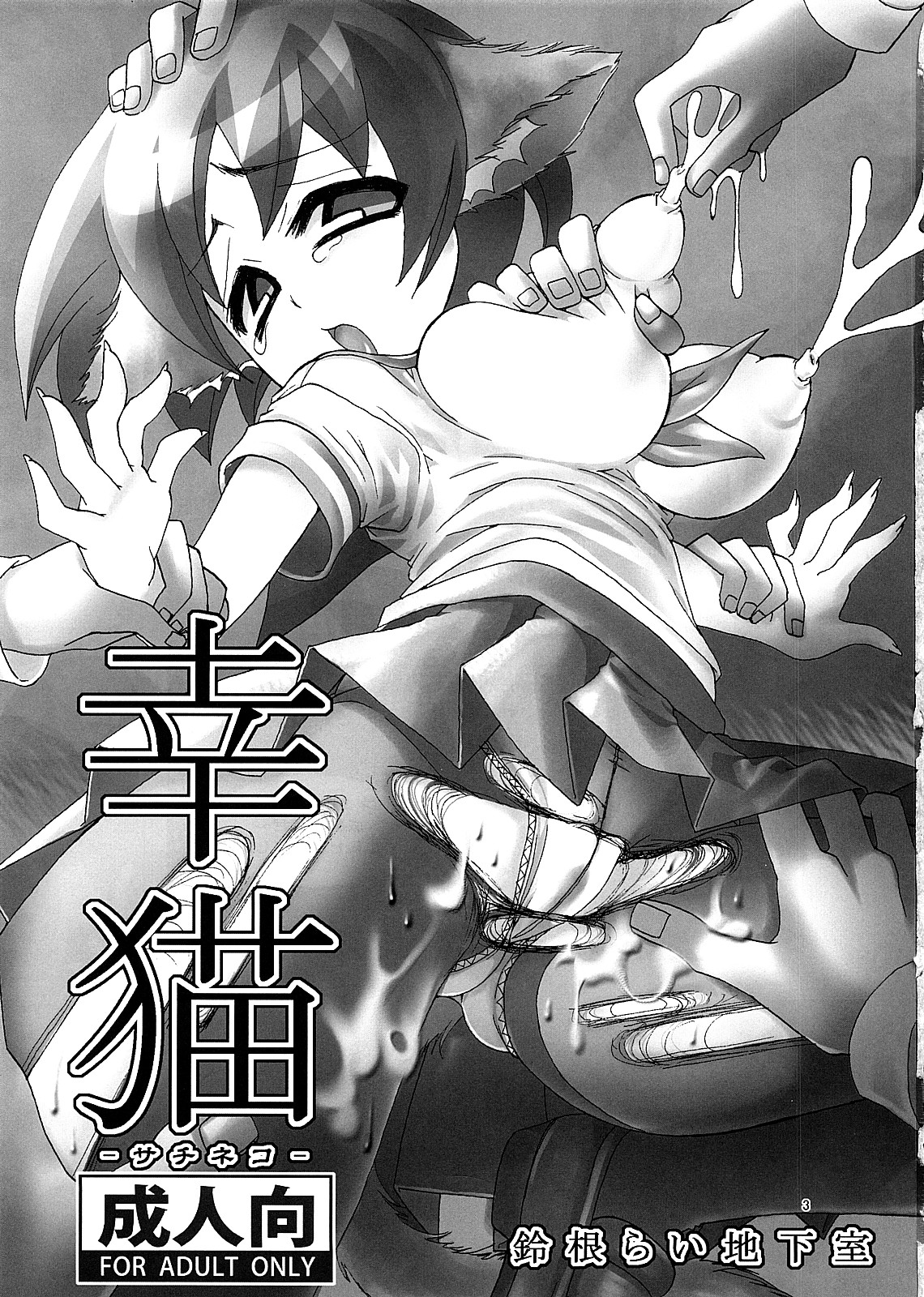 Sachineko page 2 full
