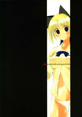 [Chinnmokungazinn] Endless [Fate-Stay/Night] cover