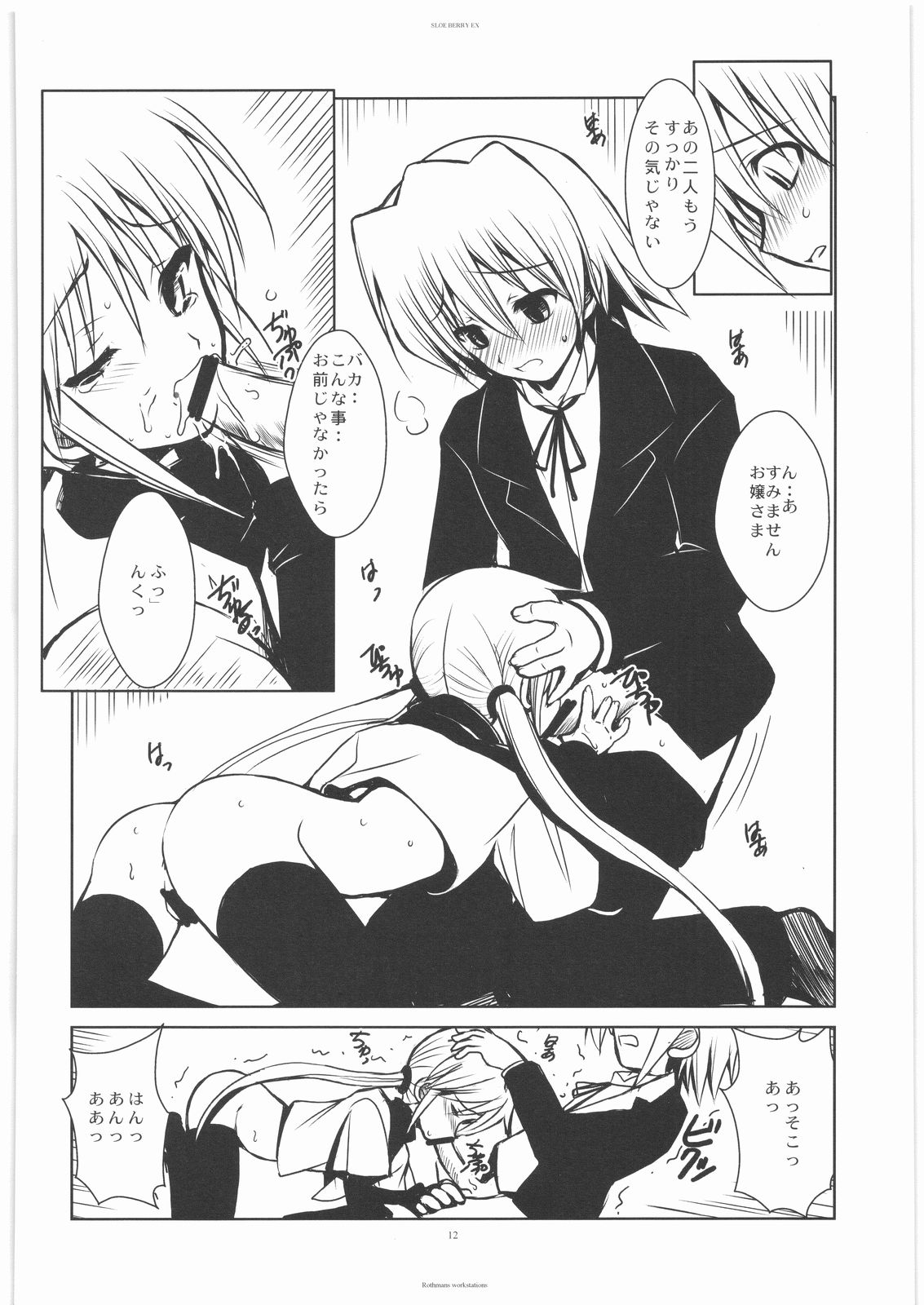 SLOEBERRY II page 11 full