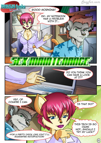 Sex Maintenance (SF) cover