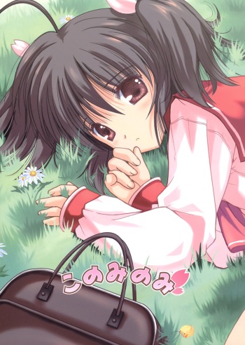 (C68) [Quarter View (Jinnojyou)] Konomi no Mi (ToHeart2) cover