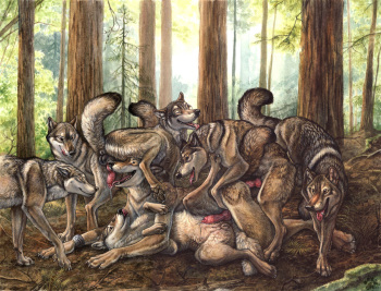 Blotch Scatches Vol. 3 cover