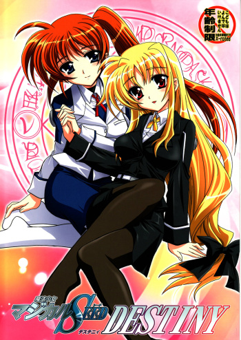 (ComiComi11) [PLUM (Kanna)] Mahou Shoujo Magical SEED DESTINY (Mahou Shoujo Lyrical Nanoha) cover