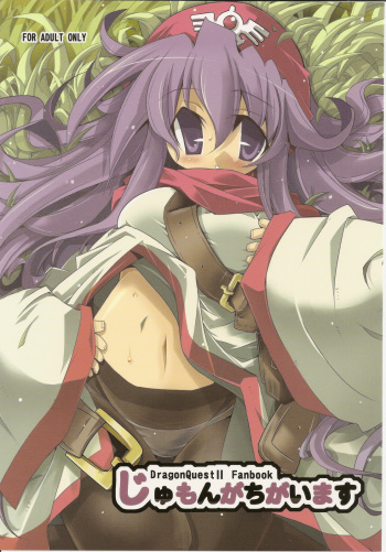 (COMIC1☆4) [HEGURiMURAYAKUBA (Yamatodanuki)] Jumon ga Chigaimasu (Dragon Quest II) cover