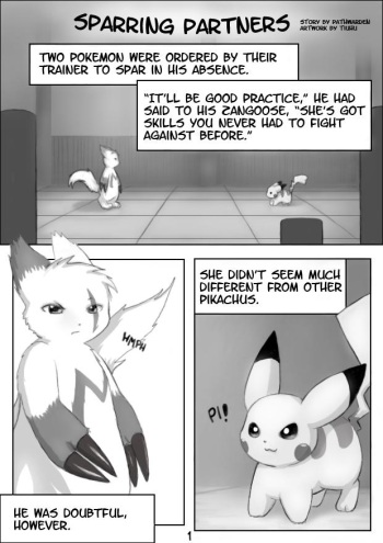 [Tiuhu] Sparring Partners (Pokemon) [Incomplete] cover