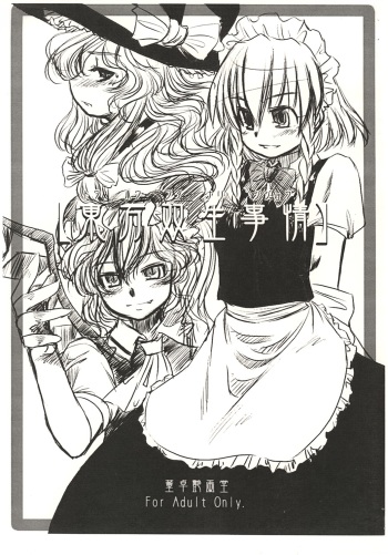 (Reitaisai 2) [Toutaku Engadou (Toutaku)] Touhou Sousei Jijou (Touhou Project) cover
