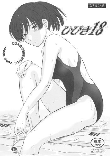 (C77) [MOON RULER (Tsukino Jougi)] Hibiki 18 (Amagami) cover