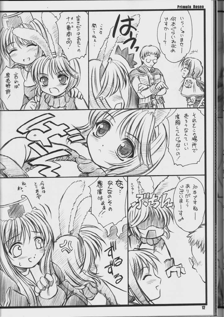 PRIMULA Rosea page 11 full