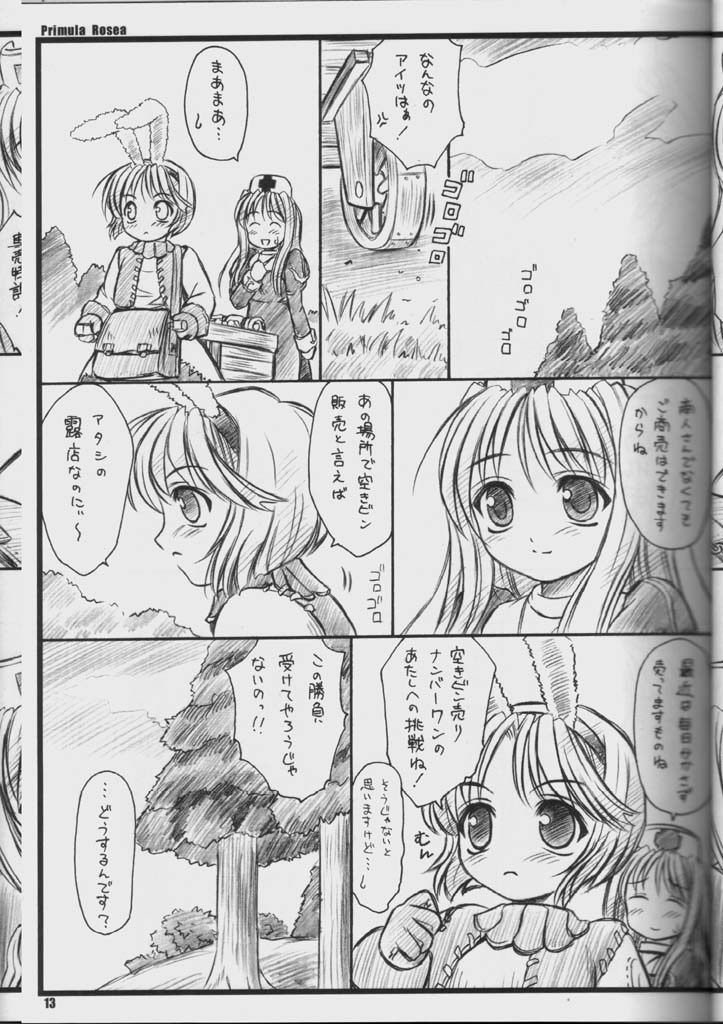 PRIMULA Rosea page 12 full
