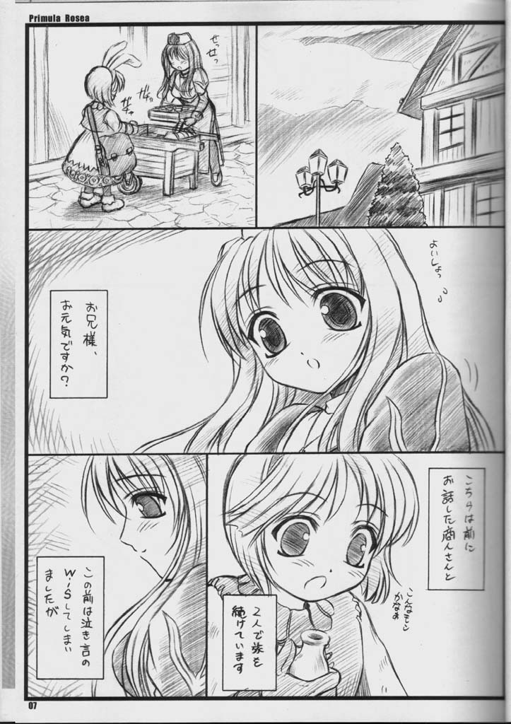 PRIMULA Rosea page 6 full