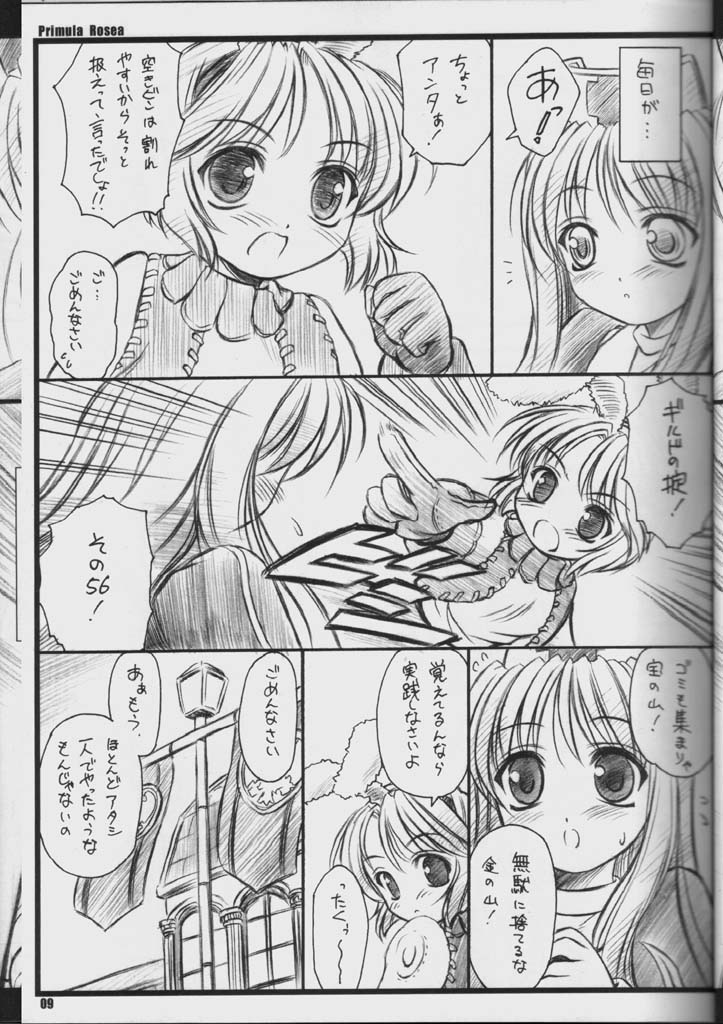 PRIMULA Rosea page 8 full