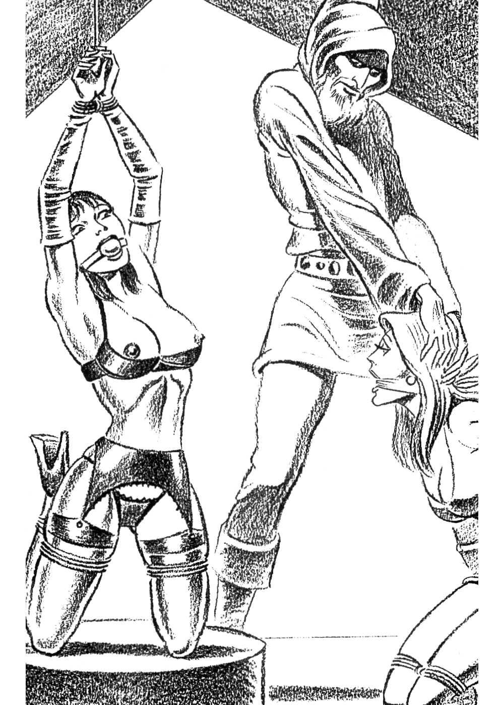 Alazar's Bondage Series #3 - Sex Brawl page 11 full