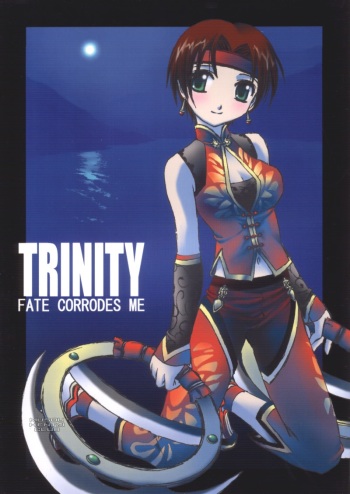 (C68) [ZI0TOPIA (Yamato Masaomi)] Trinity (Dynasty Warriors) cover