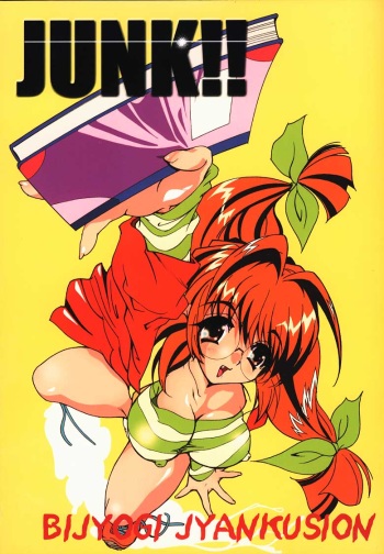 [Bijogi Junction] JUNK!! cover