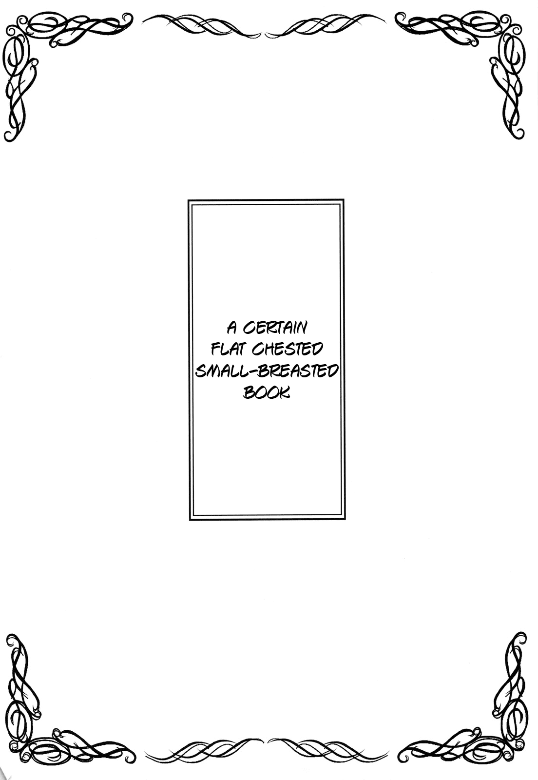 Toaru Hinnyuu no Naichichi Hon | A certain flat-chested Railgun book page 4 full