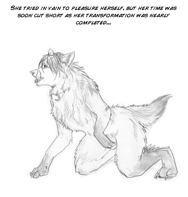 The New Pack page 7 full