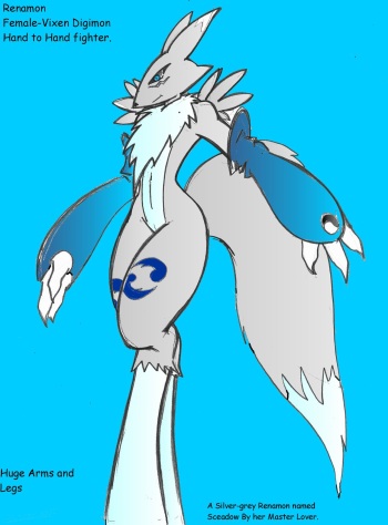 Sceadow the Renamon cover