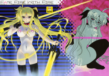 (C76) [DIEPPE FACTORY Darkside (Alpine)] FATE FIRE WITH FIRE 3 (Mahou Shoujo Lyrical Nanoha) cover