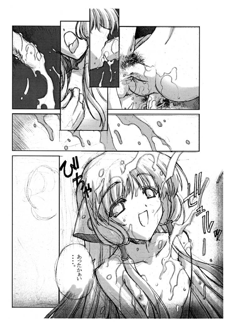Tokage Head no Na ni Kakete... page 11 full