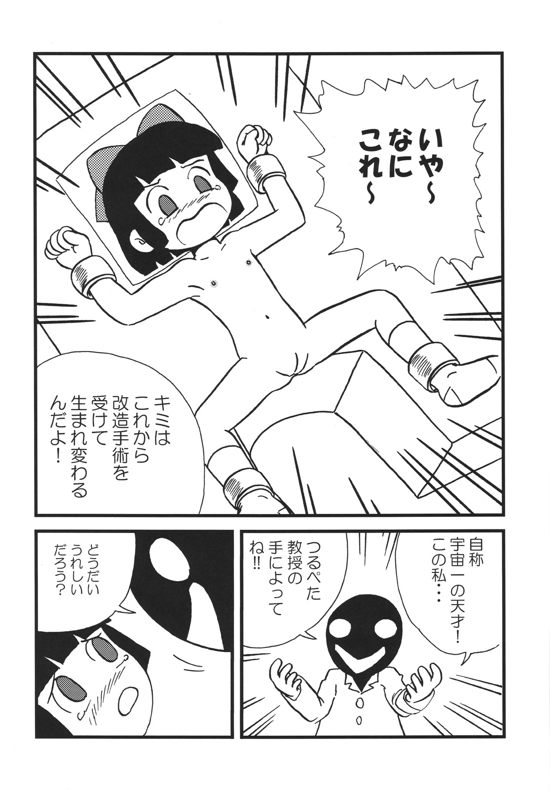 Tsurupeta Kenkyuu Houkokusho "Tsurupeta Kyoudan no Yabou " - Turupeta Recearch Report page 11 full