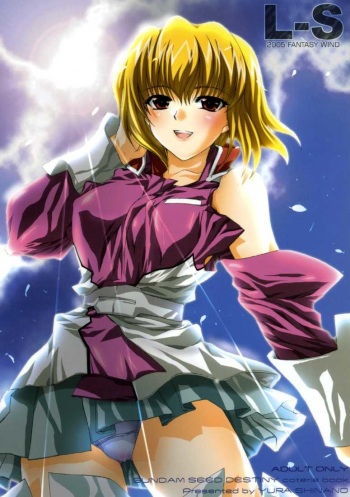 (CR37) [FANTASY WIND (Shinano Yura)] L-S (Kidou Senshi Gundam Seed Destiny) cover