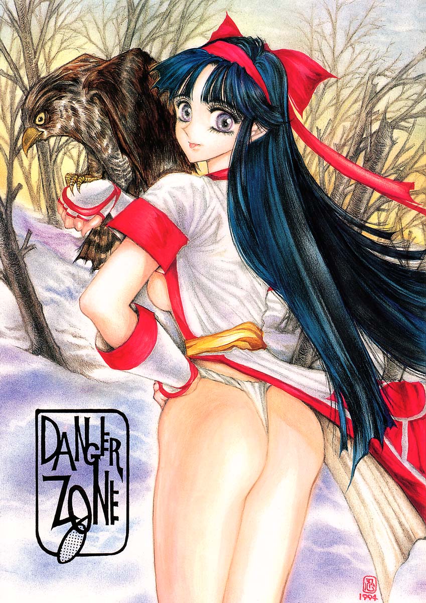 DANGER ZONE 6.0 page 1 full