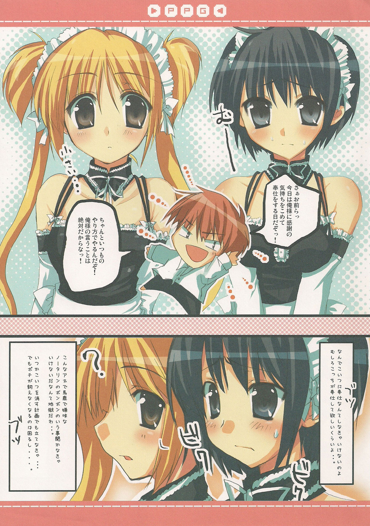 P.P.G.8 page 3 full