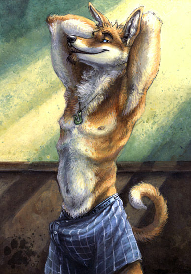 my furry collection part 8 page 3 full