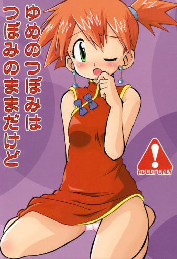 [Ukkaridou (Shimazu Isami)] Yume no Tsubomi wa Tsubomi no Mama dakedo (Pokémon) cover