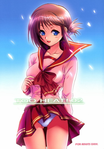 [Lv.X+ (Yuzuki N Dash)] TOO HEAT! 02 (ToHeart 2) cover