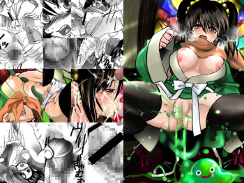 [Plumeria (LOCO)] Midori no Ekitai (Dragon Quest III) cover