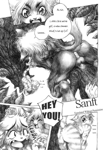 Sanft cover